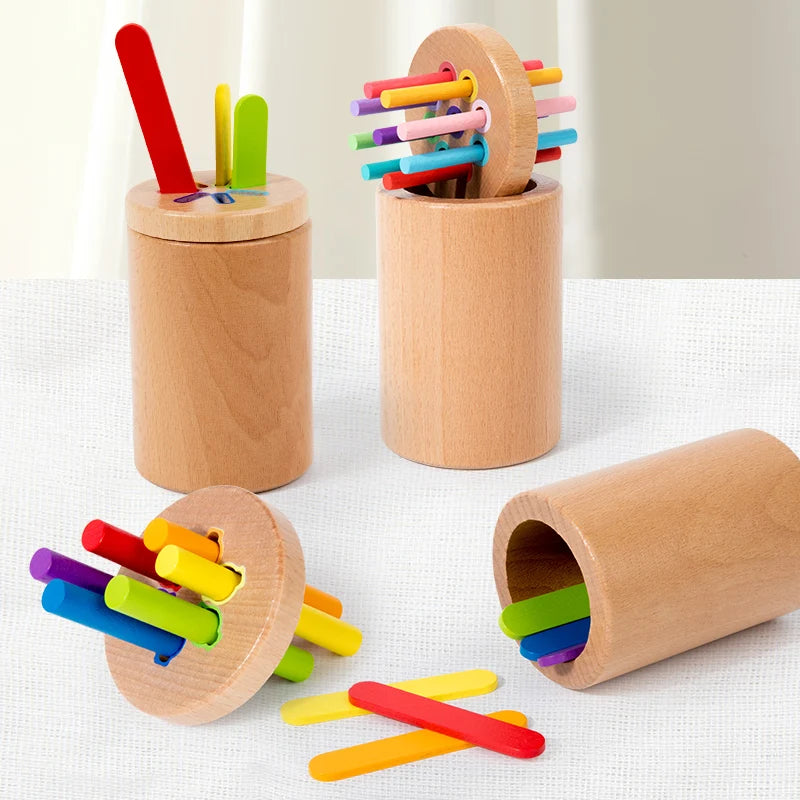 Montessori Toys Wooden Color Sorting Toys Fine Motor Skills Sensory Matching Games Educational Kid Toys For 1-3 Year Old 3+ Gift