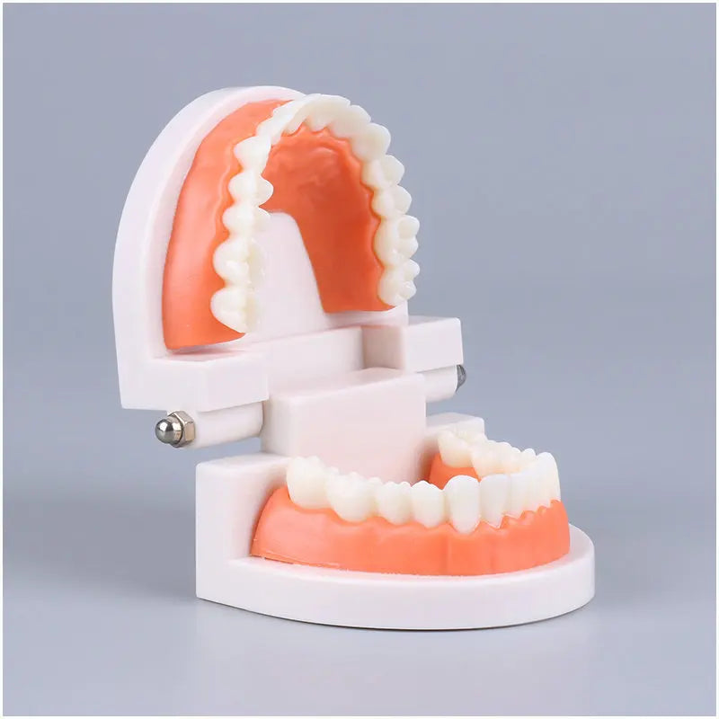 Montessori Educational Toys for Children Early Learning Kids Intelligence Brushing Tooth Teaching Aids Simulated Practical Life